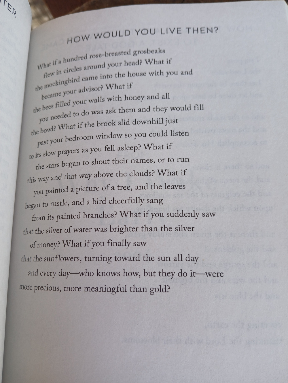 Mary Oliver Devotions Paperback Book - Picture 4 of 4